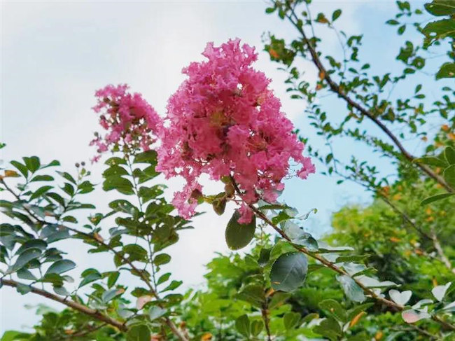 呼吸鮮氧，踐行公益&mdash;&mdash;廣東博皓公益活動：星溪線公益環(huán)保活動   -5