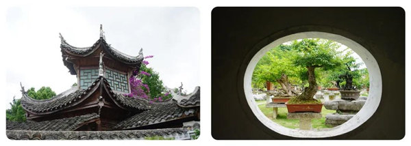 多彩貴州，魅力天下，2021年廣東博皓快樂(lè)貴州行-14