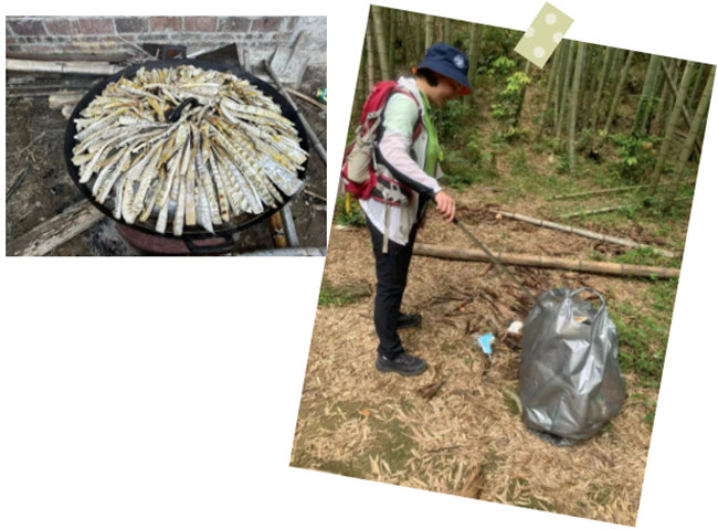 生命和綠色擁抱，人類與生態(tài)共存&mdash;&mdash;2023年廣東博皓公益活動(dòng)   -6