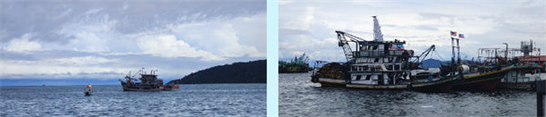 廿載風(fēng)云一路行，馬來風(fēng)情共見證&mdash;&mdash;2024廣東博皓馬來西亞之旅   -7