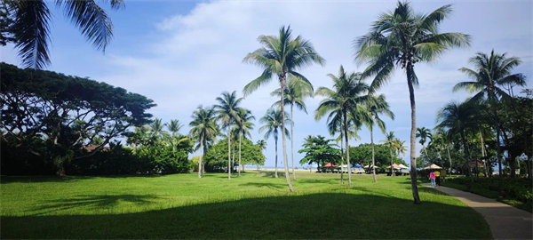 廿載風(fēng)云一路行，馬來風(fēng)情共見證&mdash;&mdash;2024廣東博皓馬來西亞之旅   -25