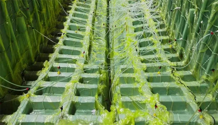 玻璃鋼漁船真空成型工藝