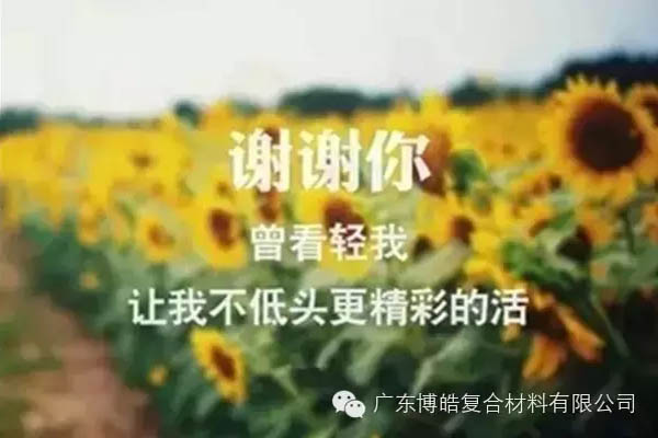 感謝那些人曾經(jīng)的&ldquo;敵人&rdquo;